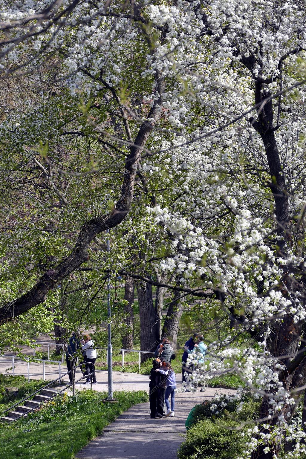 Városkép - Budapest - Tabán park