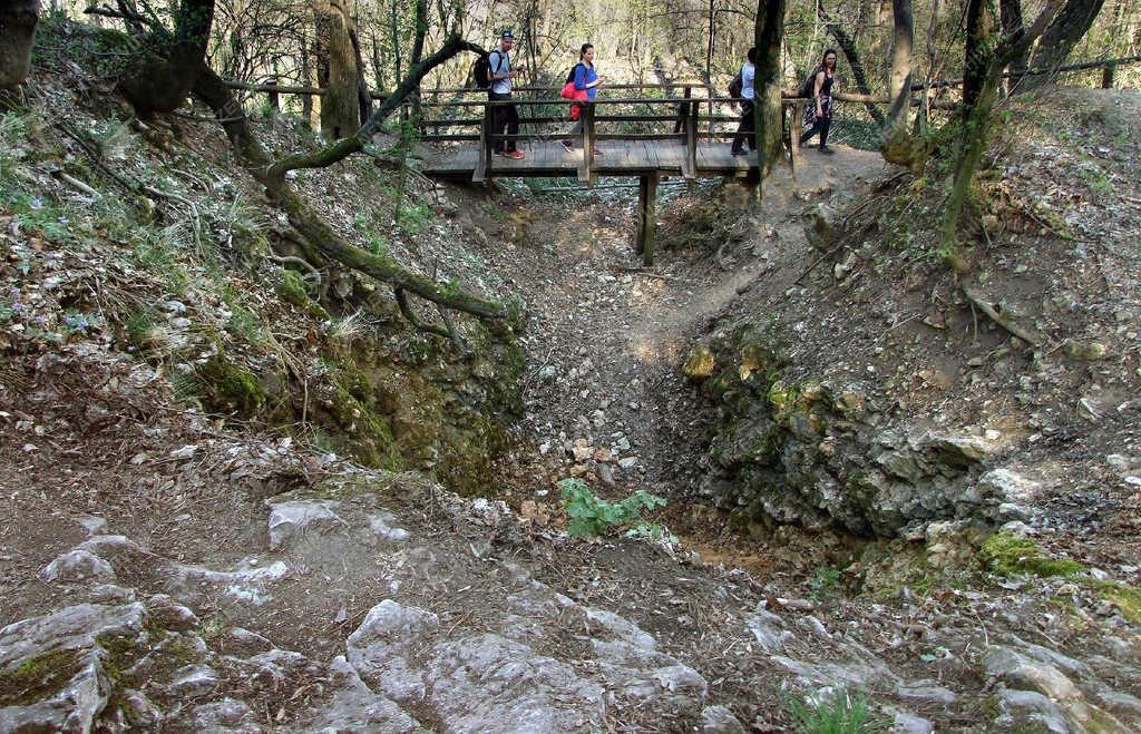 Turizmus - Budapest - Természetjárók a Nagy-Hárs-hegyen