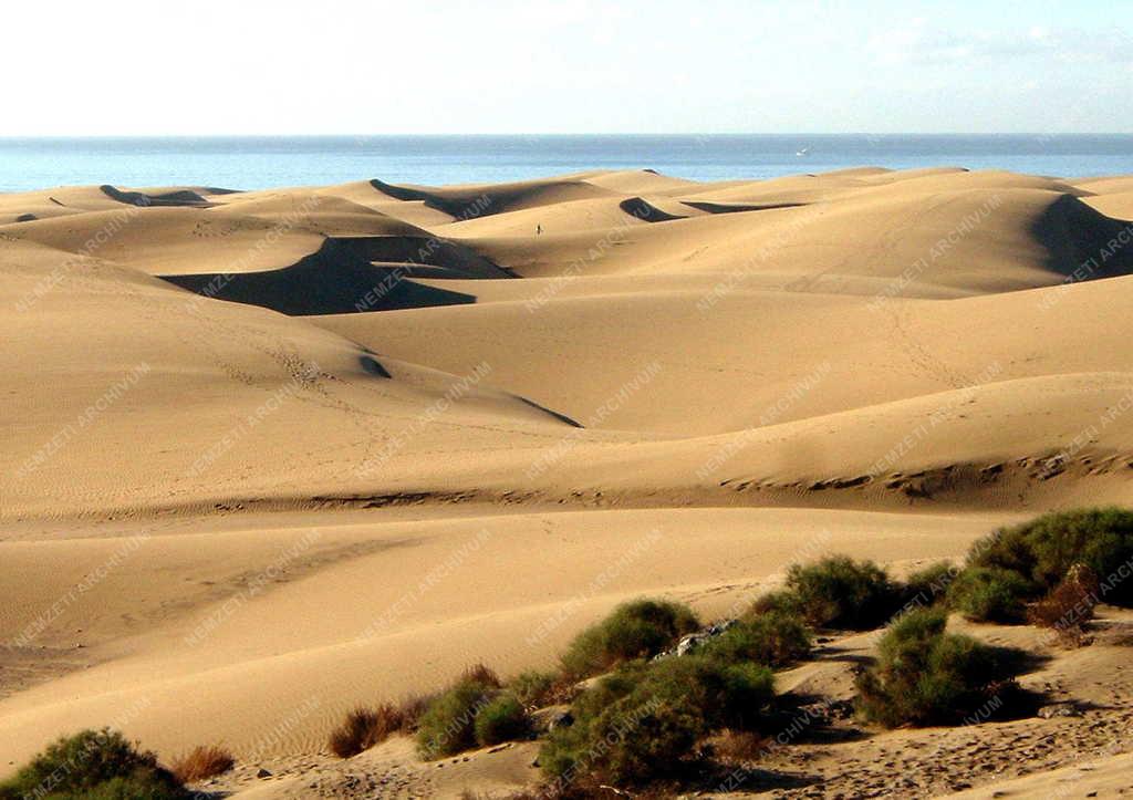 Maspalomas - 