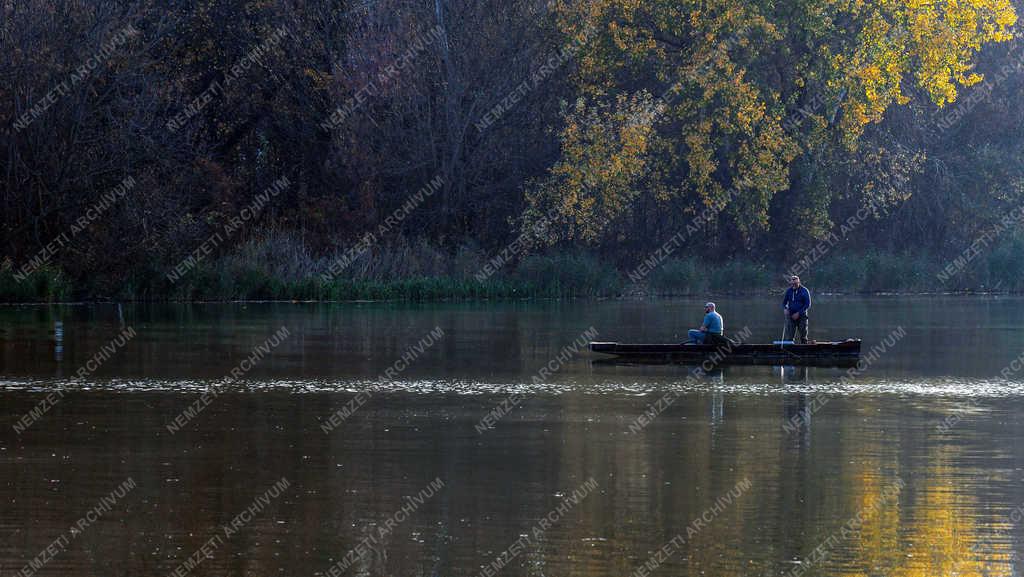 Természet - Tiszalök - Őszutó a Tiszánál