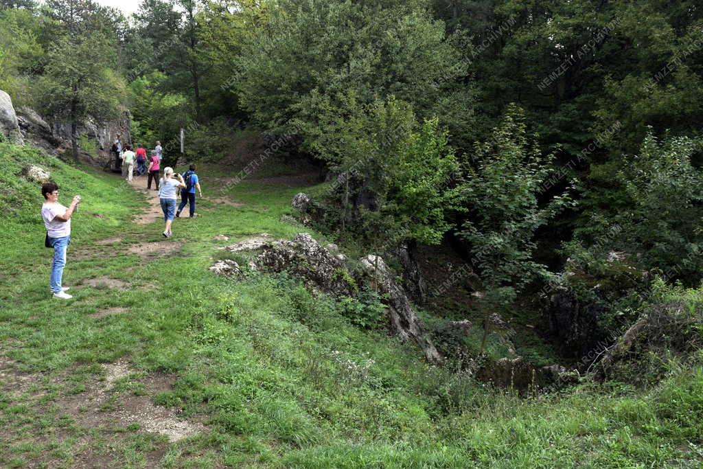 Természet - Csárda-hegyi őskarszt Úrkútnál