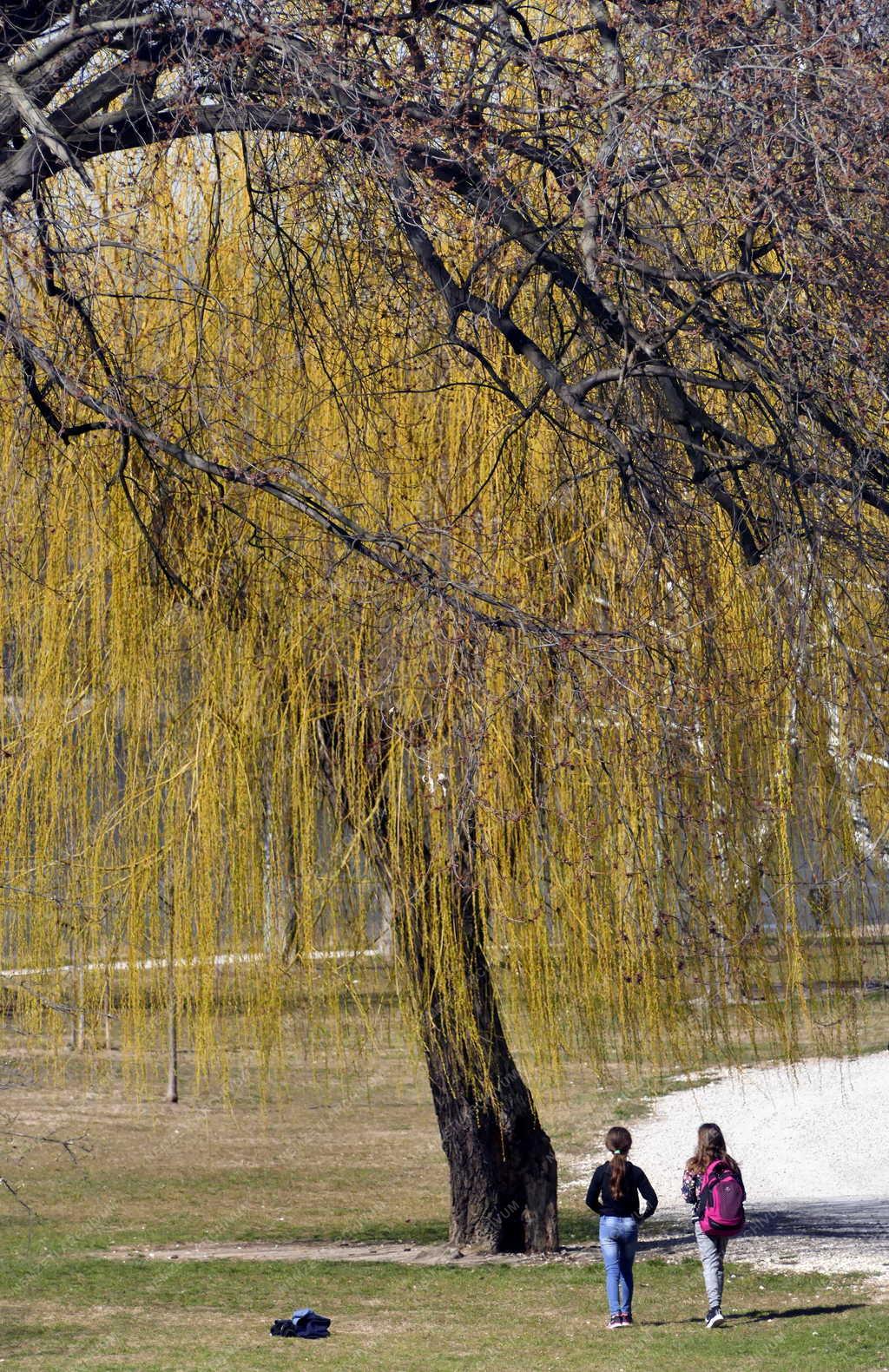 Szabadidő - Esztergom - Fiatalok az Erzsébet-parkban