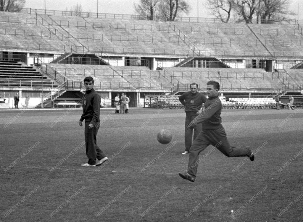 Sport - Labdarúgás - Magyarország-Ausztria