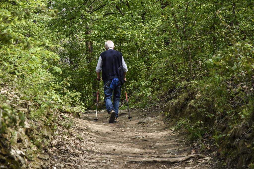 Természet - Szabadidő - Pilisi parkerdő Hűvösvölgynél