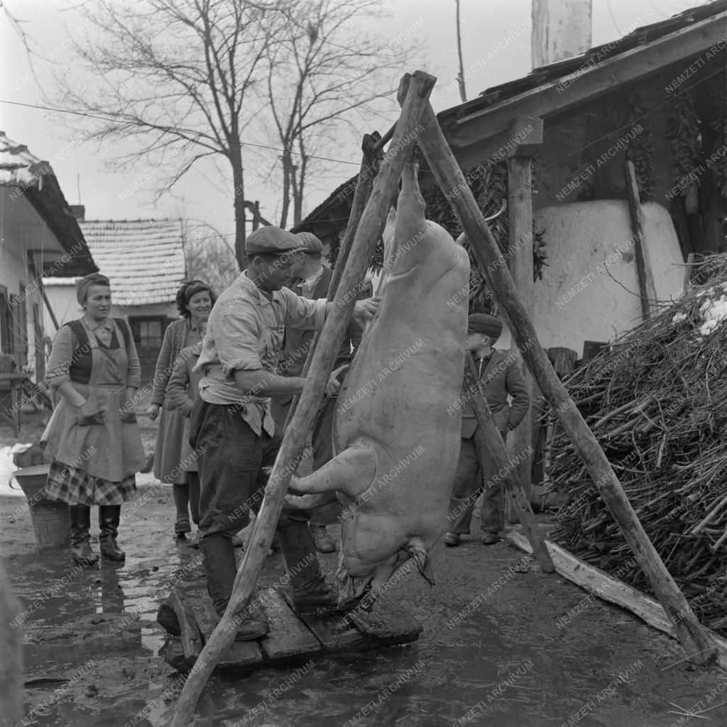 Nincs felirat, Nincs 10-es kocka