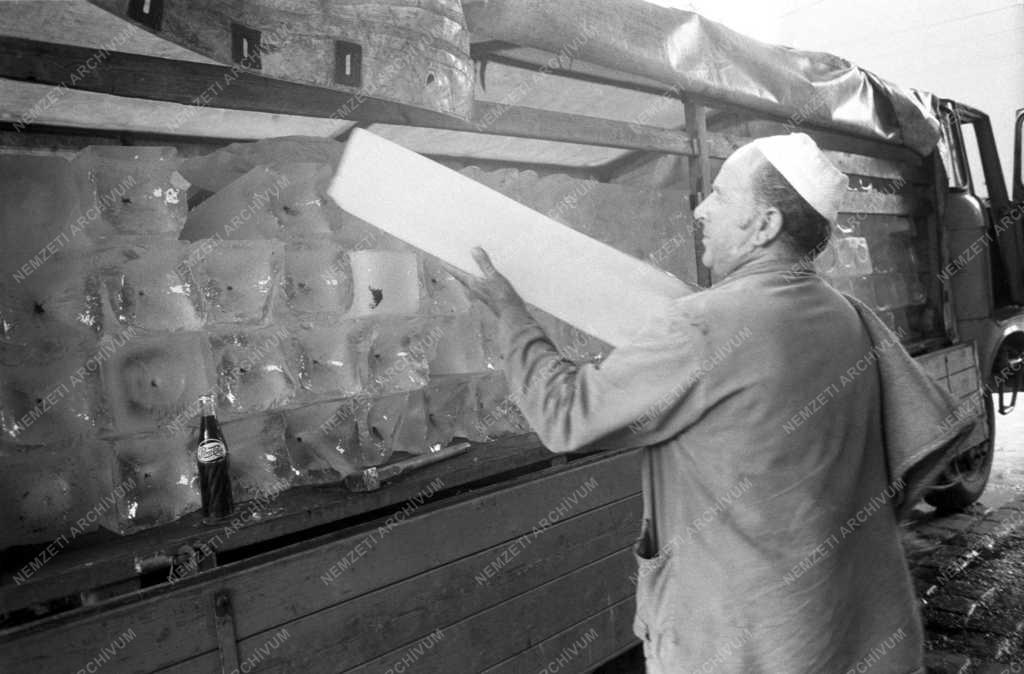 Szolgáltatás - Jeges