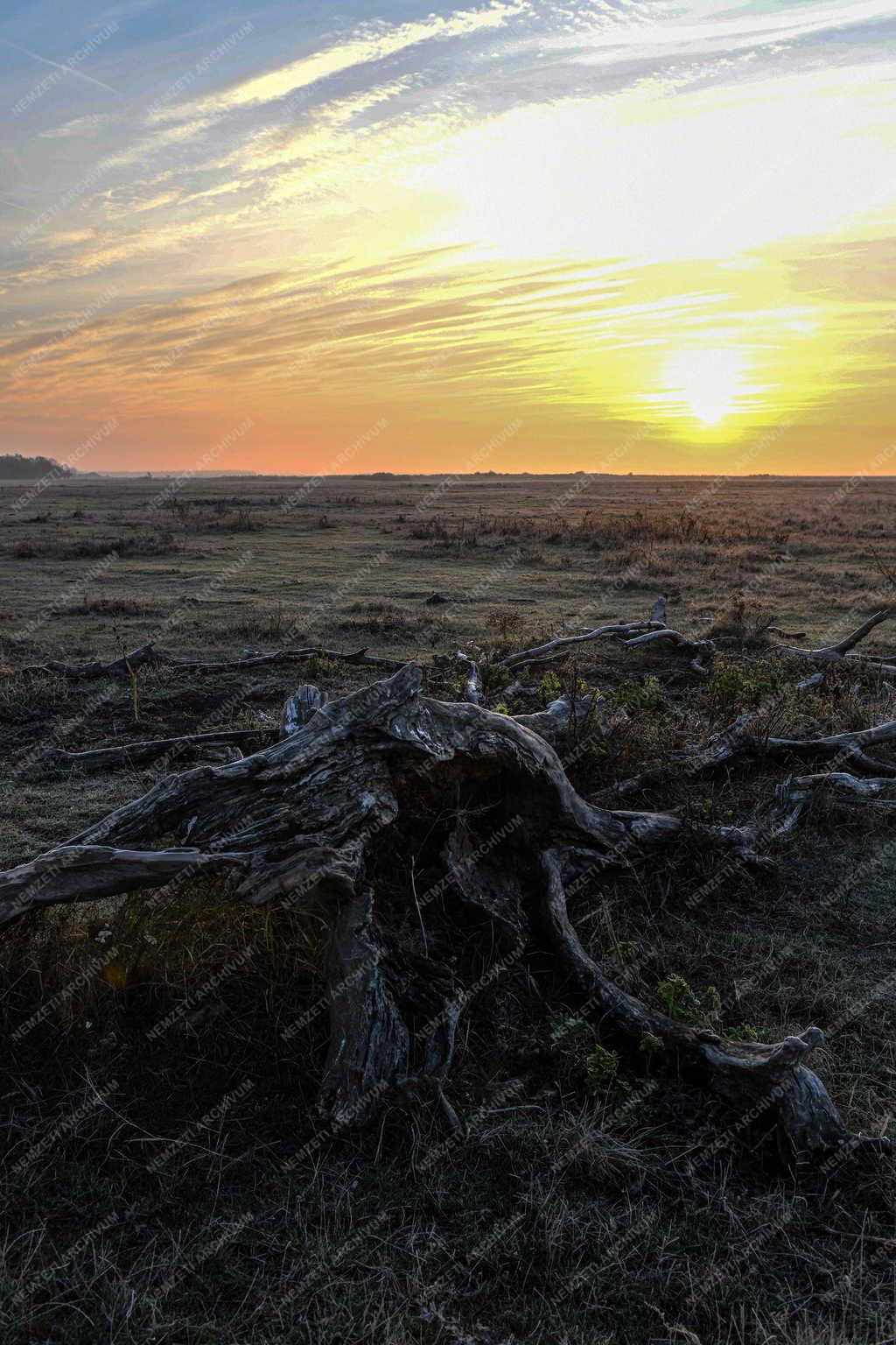 Tájkép - Természet - Ősz a Hortobágyon