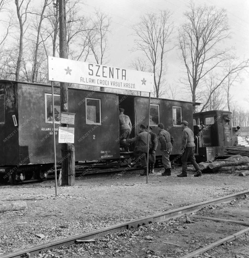 Közlekedés - Erdei kisvasút