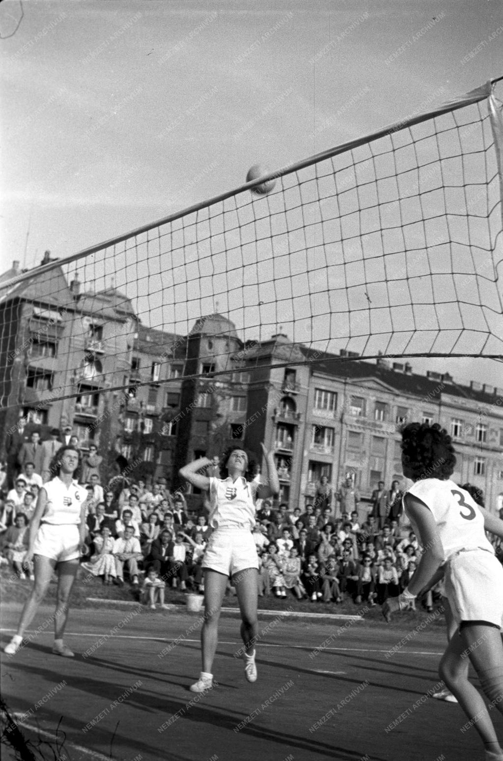 Sport - Röplabda
