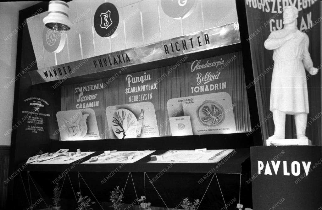 Egészségügy - Orvosi Nagyhét