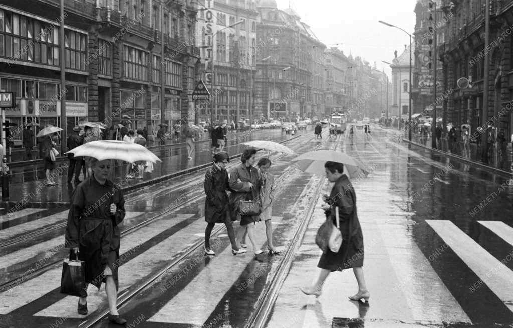 Életkép - Esős nap Budapesten