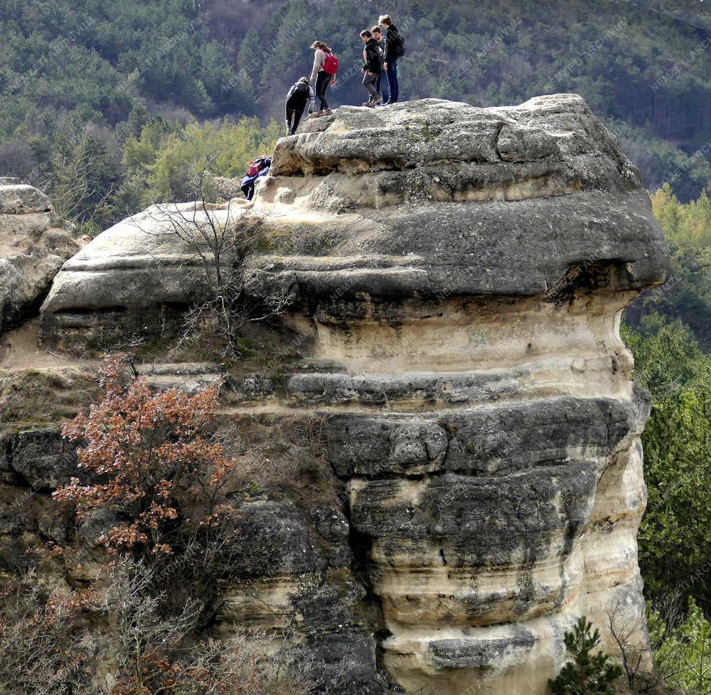 Természet - Biatorbágy - Turisták a Nyakas-kő sziklaormán 