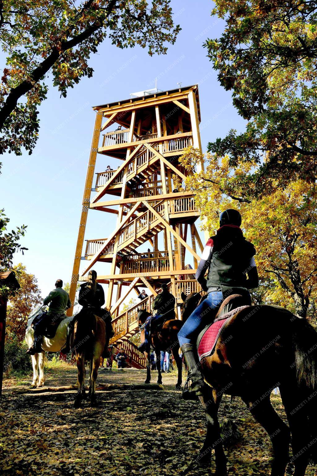Turizmus - Királyrét - Lovas természetjárók a Börzsönyben
