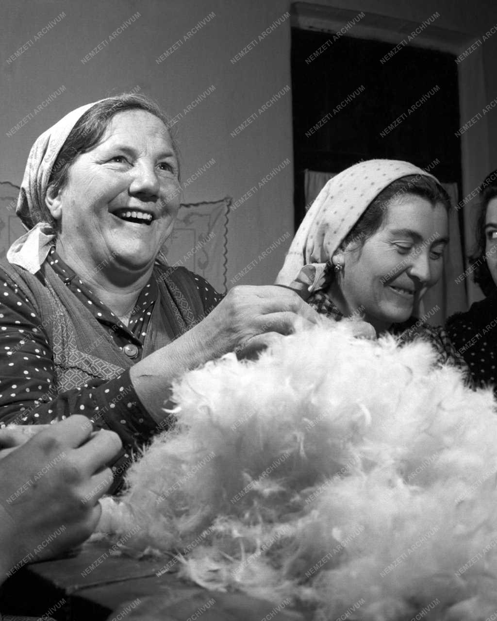 Folklór - Hagyományőrzés - Tollfosztás Vép községben