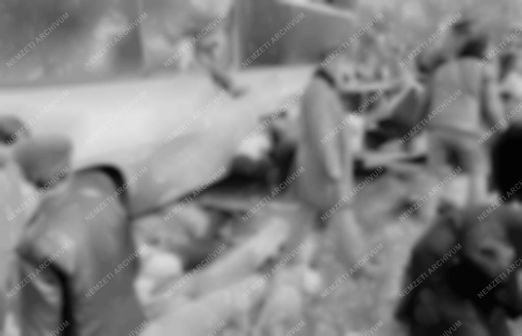 Baleset - Sport - Tömegbaleset az autós hegyi bajnokságon