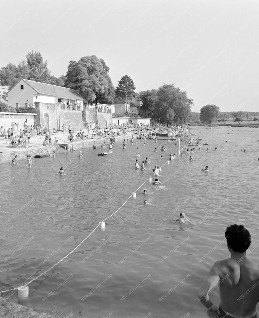 Természet-környezet - Fertő tó