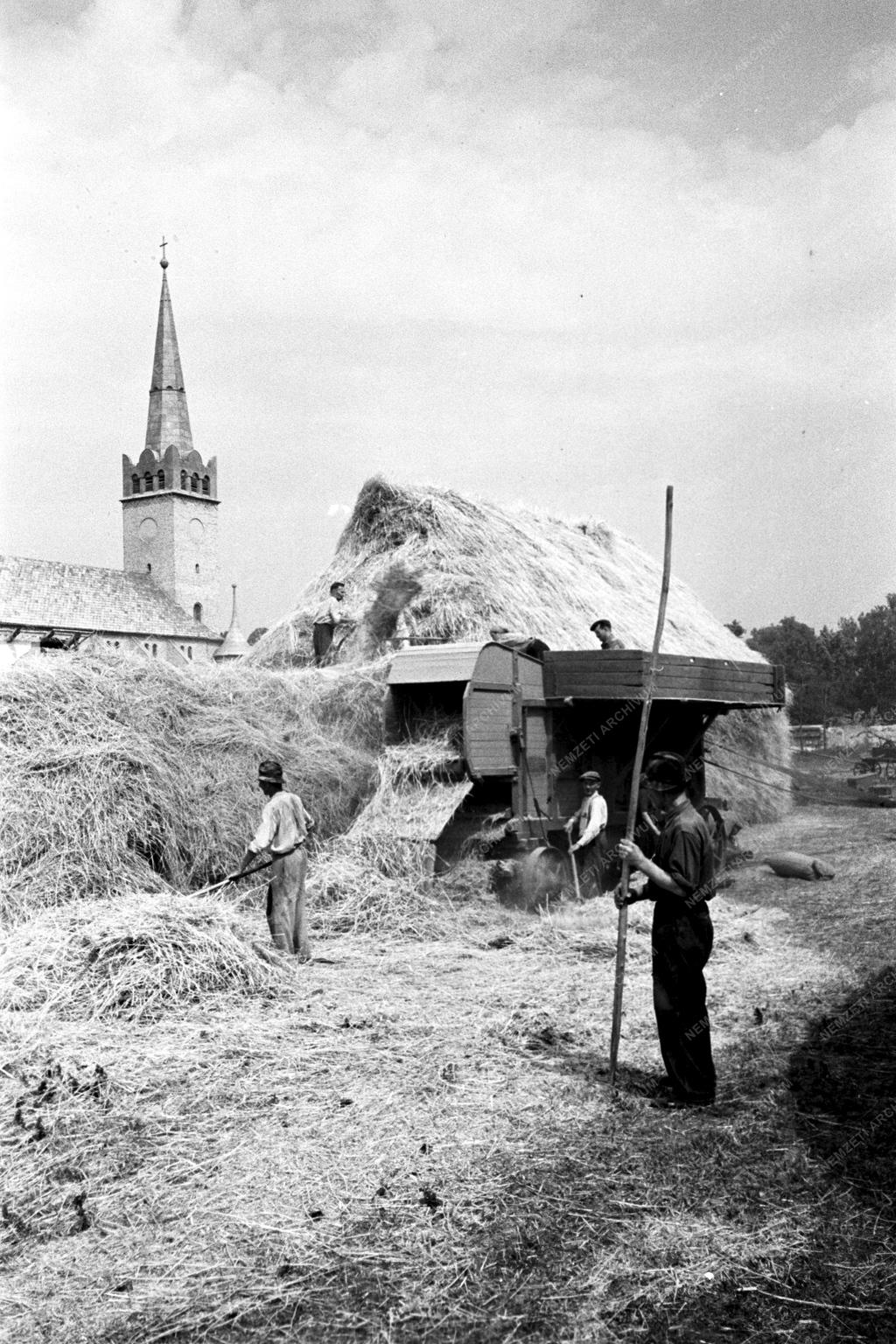 Mezőgazdaság - Közös munka a tsz-ben