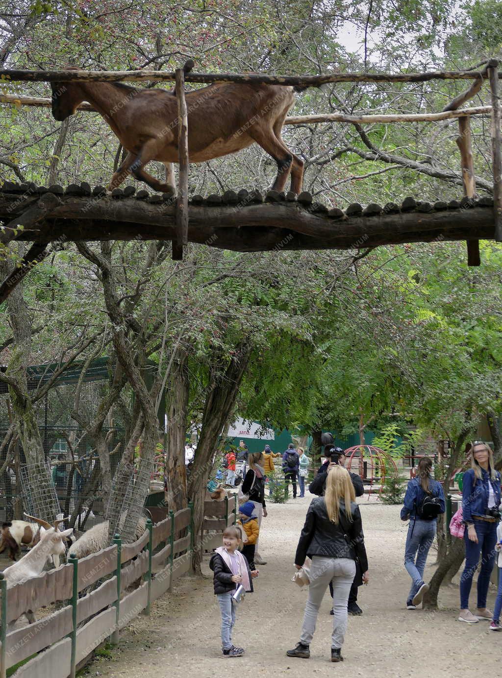 Állatvédelem - Szigethalmi Családi Vadaspark és Vadmentő Központ
