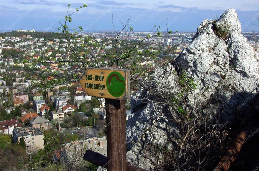 Természetvédelem - A Sas-hegyi tanösvény