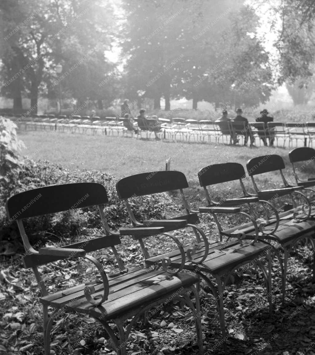 Természet - Ősz