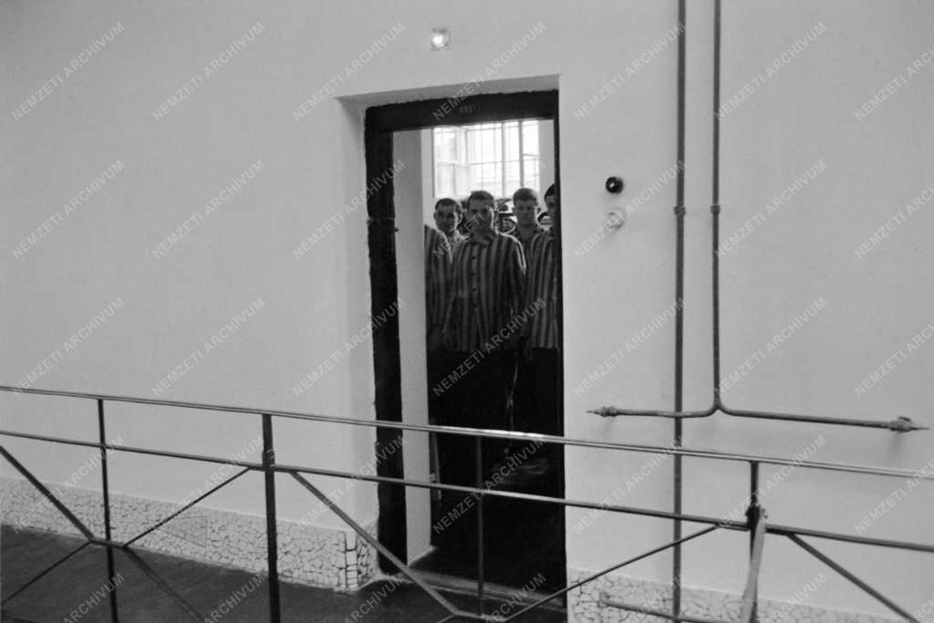 Belpolitika - Büntetés-végrehajtás - A Csillagbörtön
