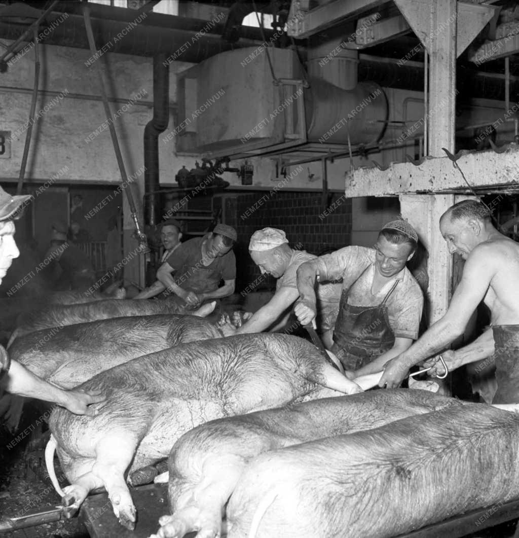 Élelmiszeripar - Budapesti Sertésvágóhíd