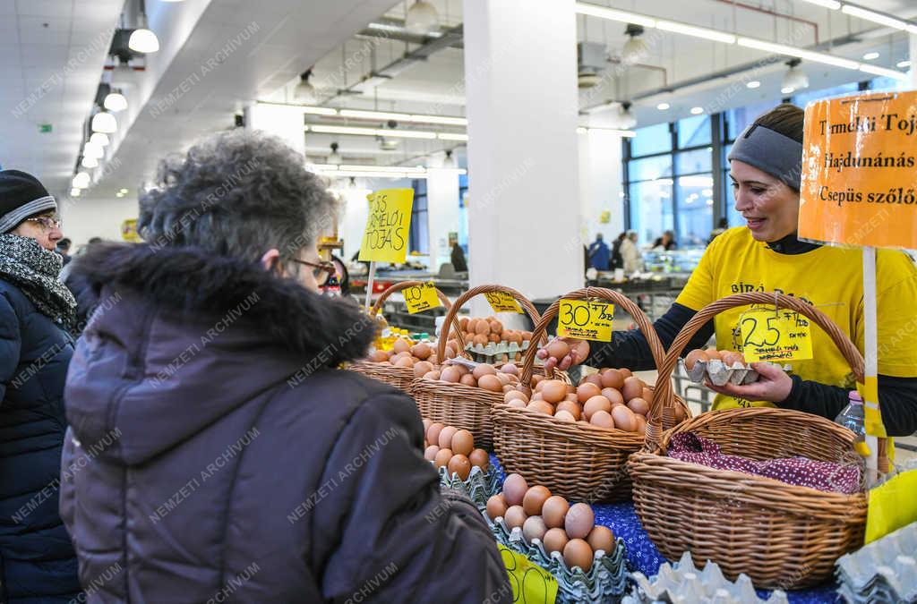 Vállalkozás - Debrecen - Fiatal gazda