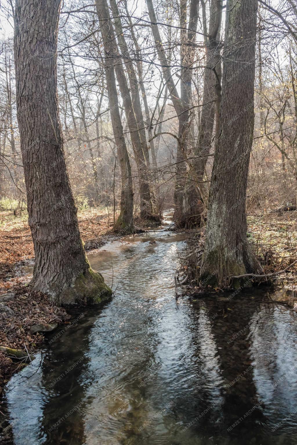 Természet - Szilvásvárad - Szalajka-völgy