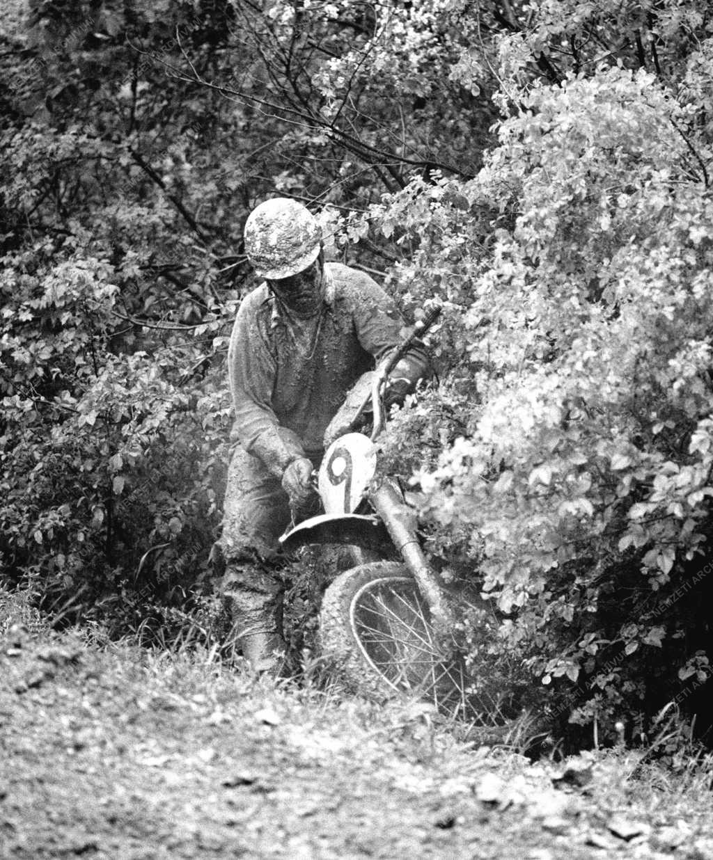 Sport - Nemzetközi Moto-Cross verseny