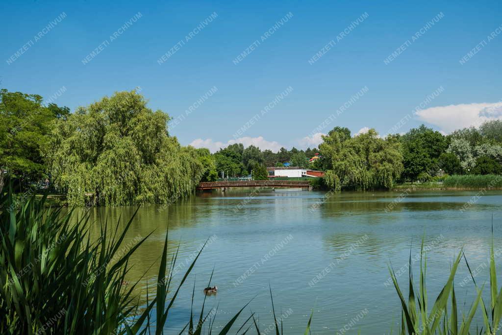 Tájkép - Nyíregyháza - Sóstó