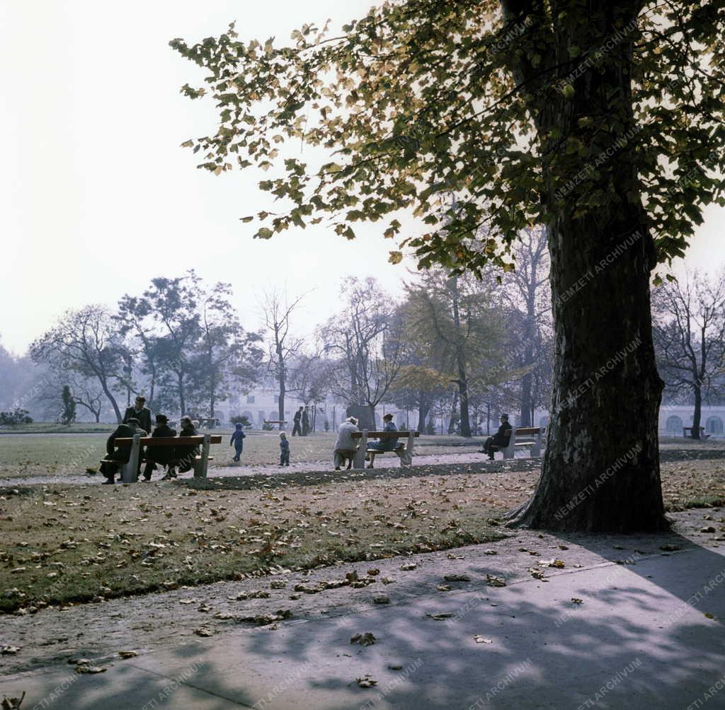 Időjárás - Park - Ősz a Városligetben