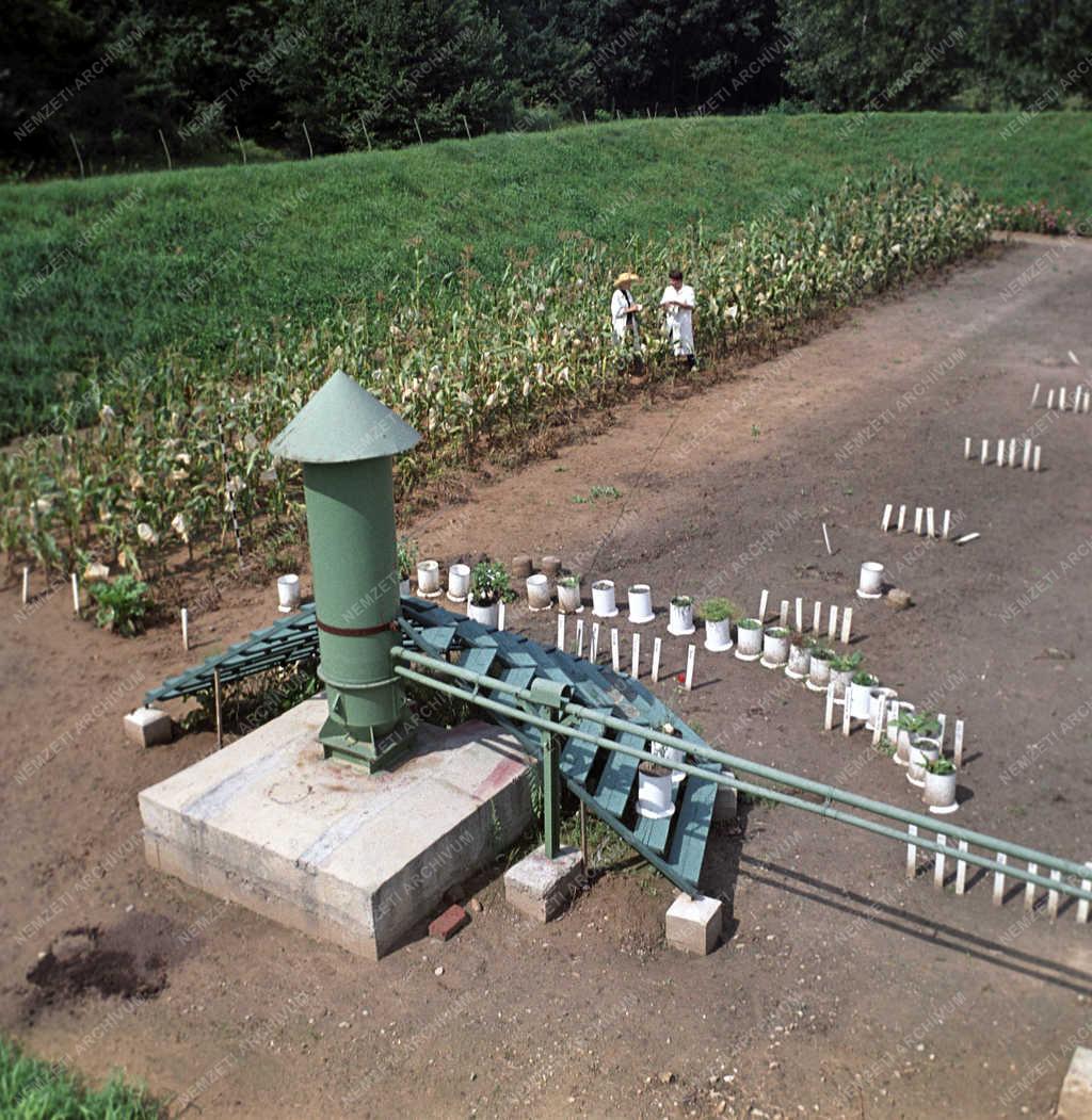 Mezőgazdaság- Tudomány - Agrártudományi Egyetem Genetika és Növénynemesítés Tanszék