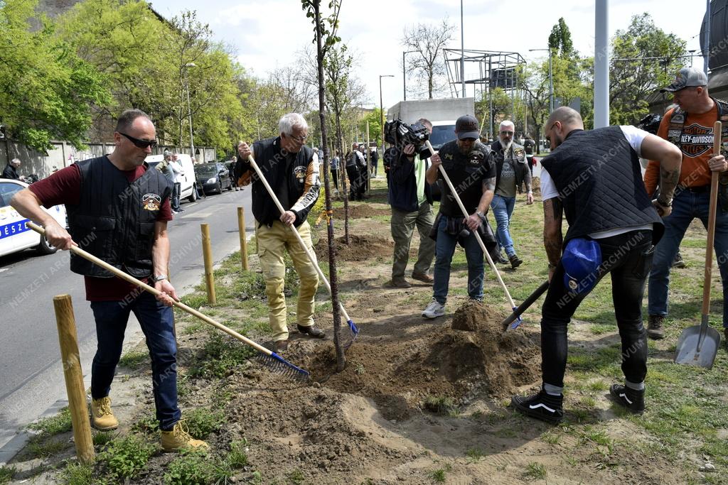 Természetvédelem - Közlekedés - Fákat ültetett a Budapest Chapter Zuglóban