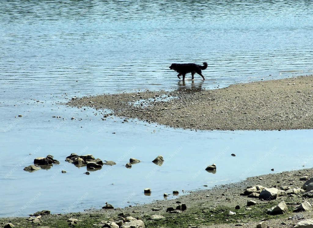 Tájkép - Budapest - A Duna-part alacsony vízállásnál