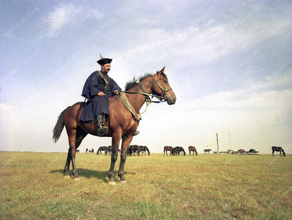 Életkép - Tájkép - Hortobágy