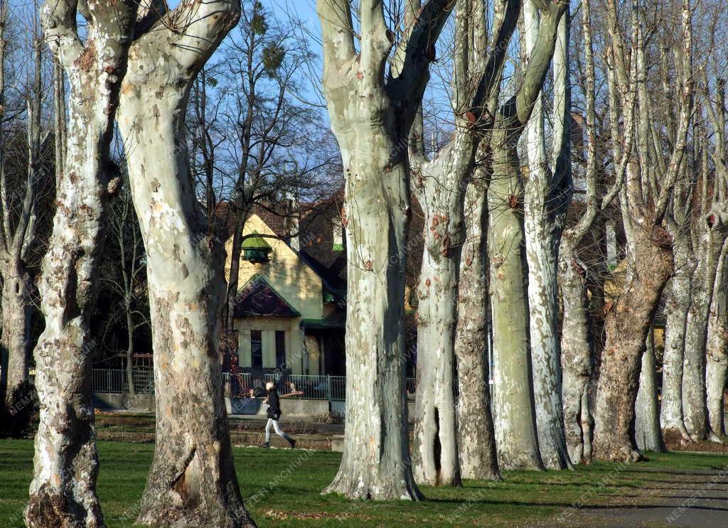 Városkép - Budapest - Az óbudai Gázgyár  lakótelepe