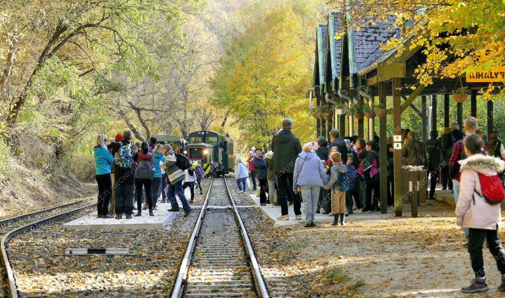 Közlekedés - Turizmus - Királyréti Erdei Vasút