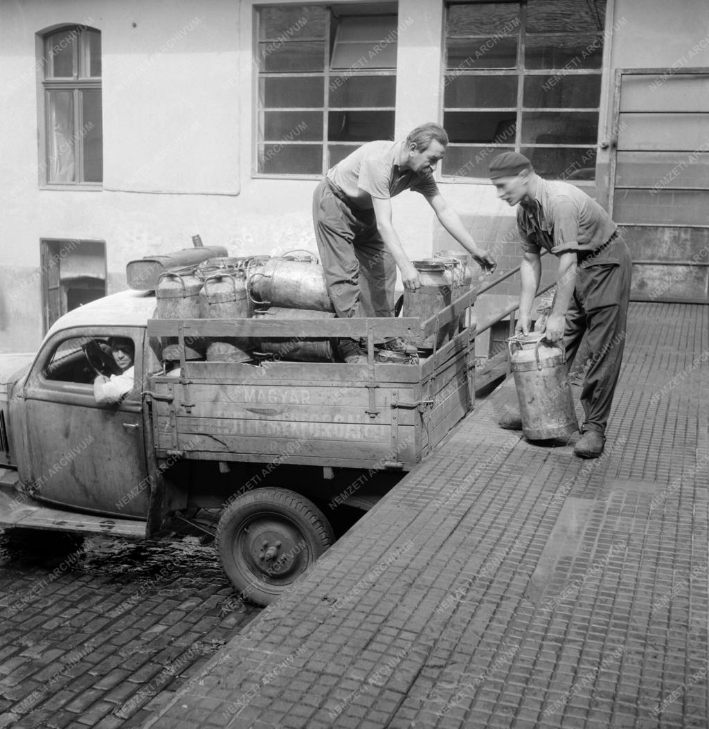 Élelmiszeripar - Magyar Tej- és Tejtermék Forgalmi Rt.