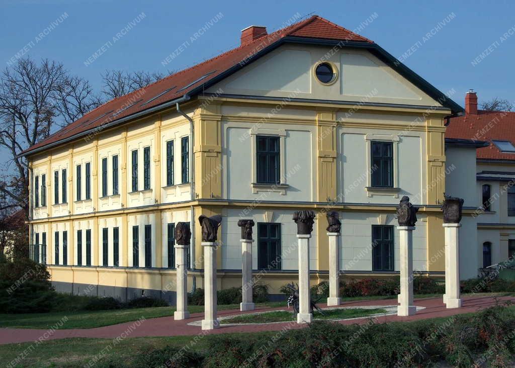 Városkép - Gyula - 1848-as emlékmű az Almásy-kastélynál