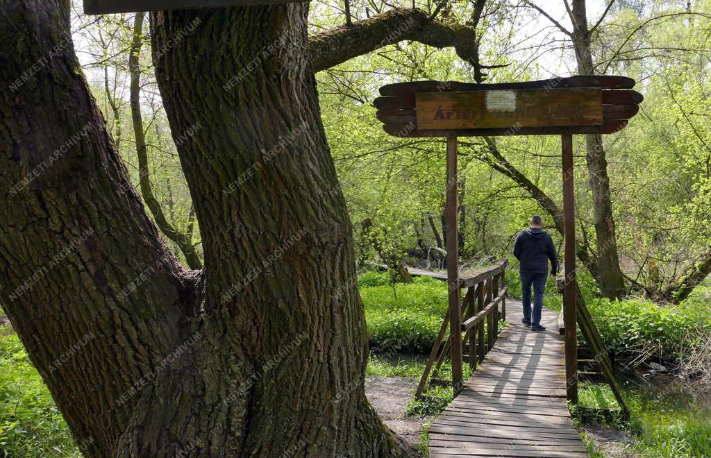 Természet - Szabadidő - Váci Ártéri Tanösvény