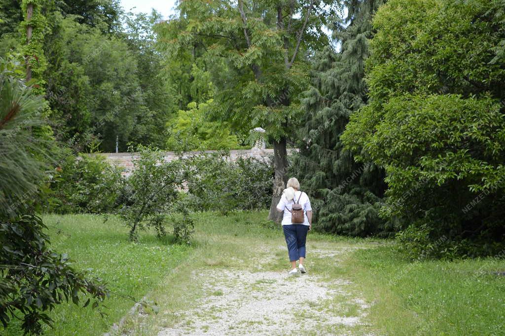 Természet - Budapest - Látogató a Budai Arborétumban