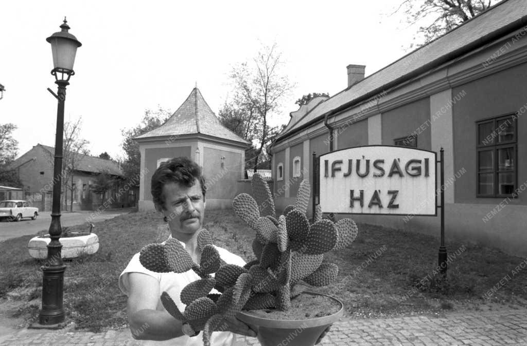 Kertészet - Kaktuszkiállítás Hatvanban