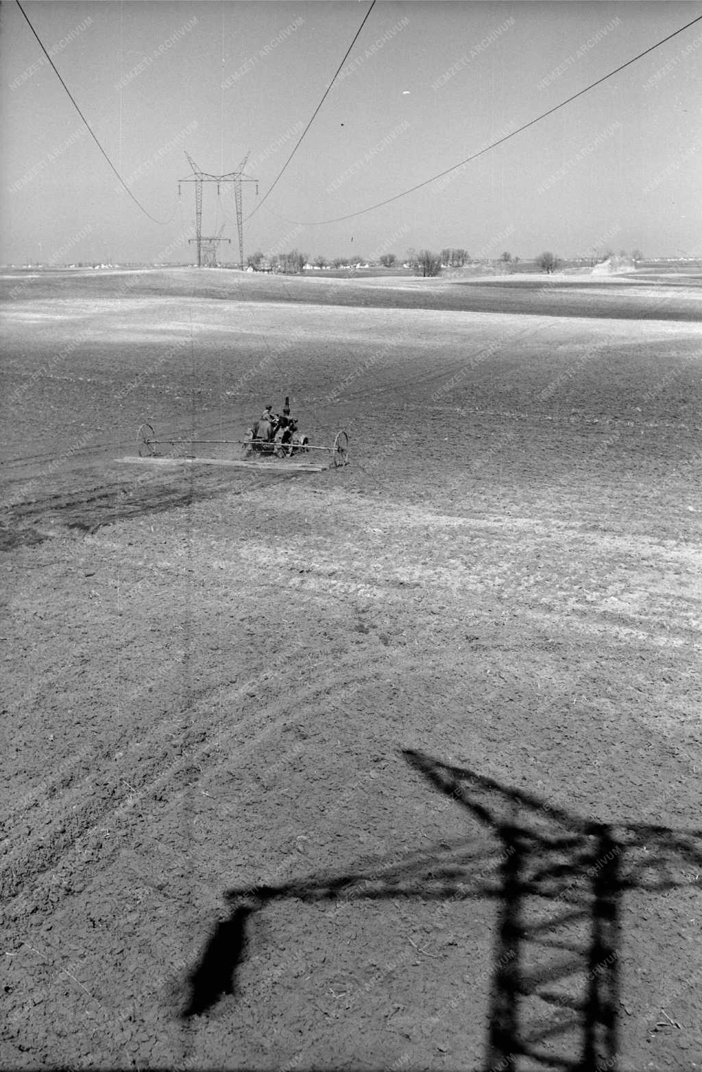 Gazdaság - Növénytermesztés - Kiskunfélegyházi Tangazdaság