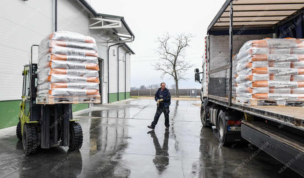 Mezőgazdaság - Hajdúnánás - Vetőmag kiszállítás