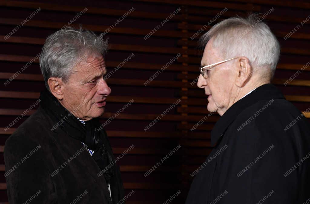 Televízió - Magyar filmek új köntösben