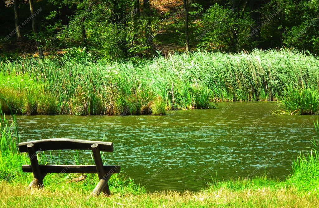 Tájkép - Szentgotthárd - Máriaújfalu  - Víztározó