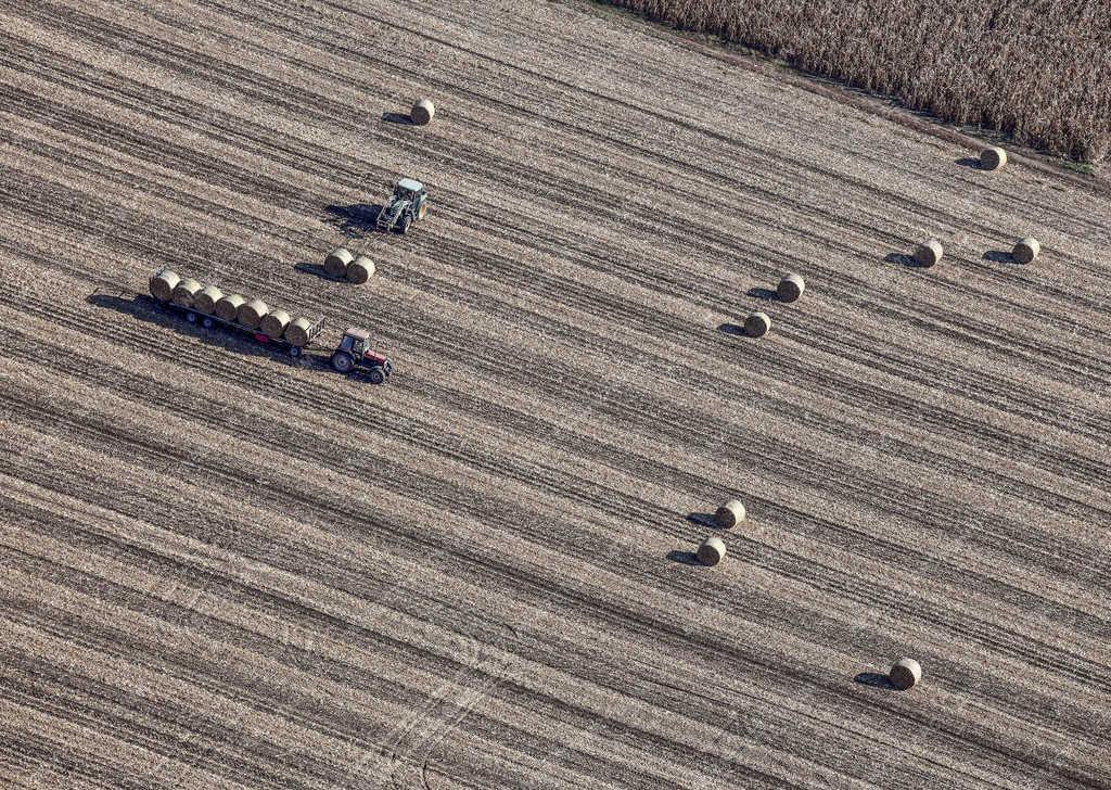 Mezőgazdaság - Hajdúszoboszló - Betakarítás