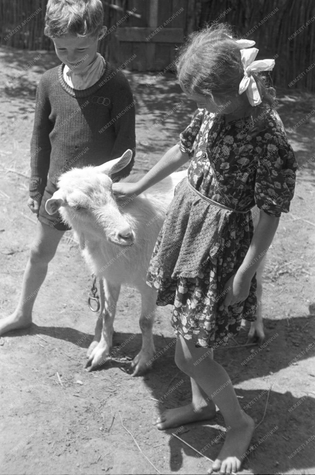 Városkép-életkép - Jótékonyság