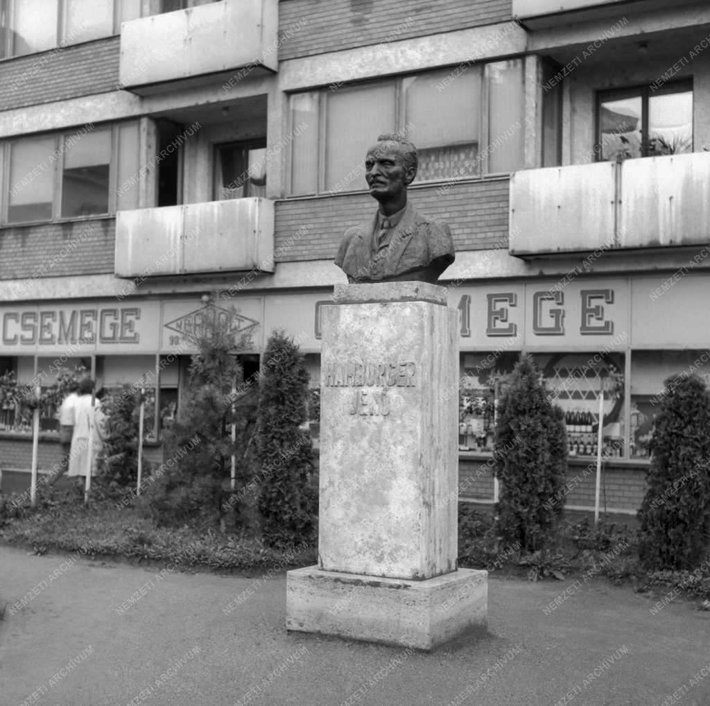 Városkép - Hamburger Jenő szobra