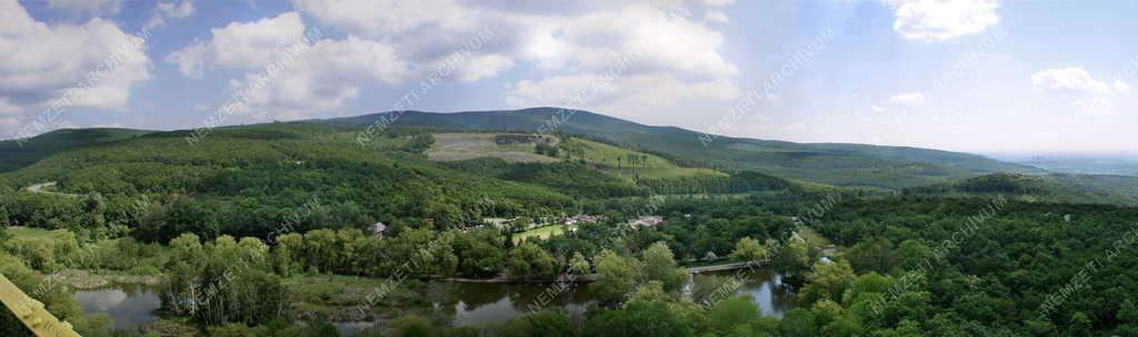 Természet - Mátra - Sás-tó